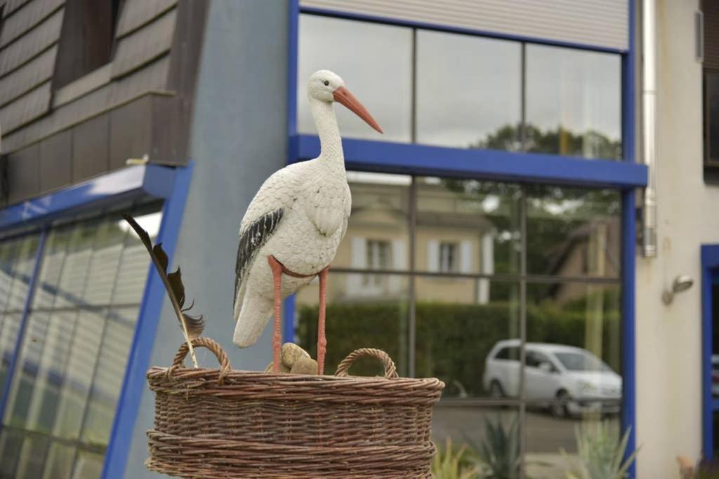 Gite Les cigognes de la Doller Sentheim Extérieur photo